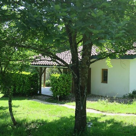 Le Verger Gites Castelnau D'Auzan Екстериор снимка